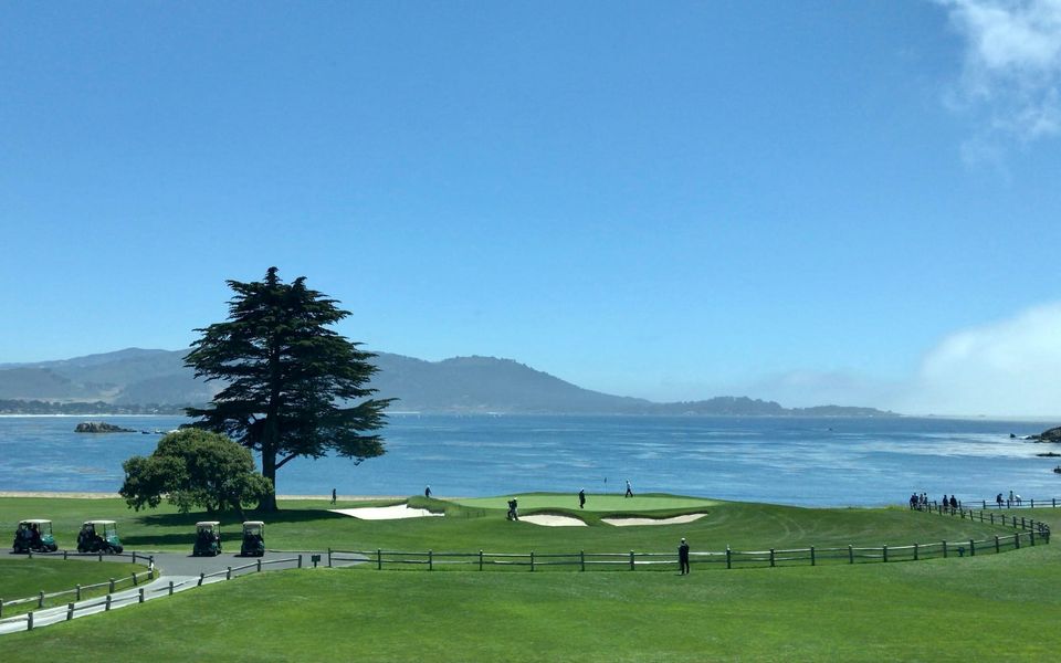 A cypress and green above the bay at Pebble Beach, California